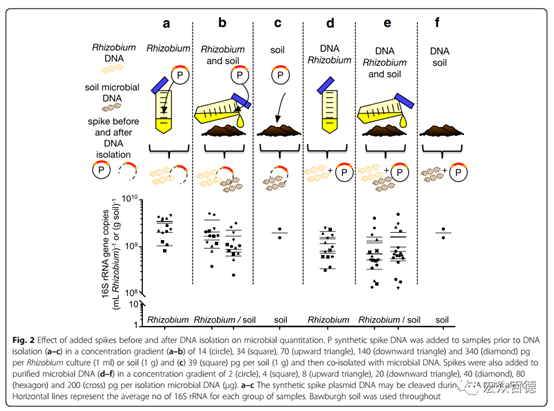 Microbiome: 環(huán)境樣品中微生物群落物種豐度的絕對(duì)定量方法