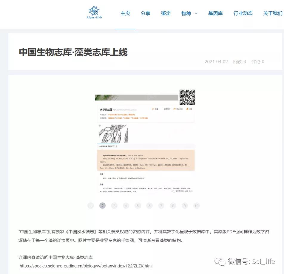 跨界聯(lián)動：Algae-Hub×生物志庫