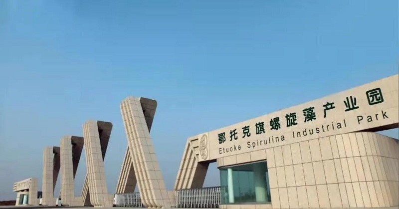 鄂爾多斯：從草原到歐美，“世界藻都”鄂托克旗欲接軌國際市場