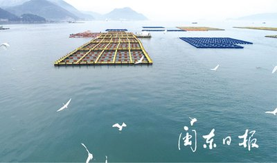 政策性藻類養(yǎng)殖風力指數(shù)保險推廣會議召開