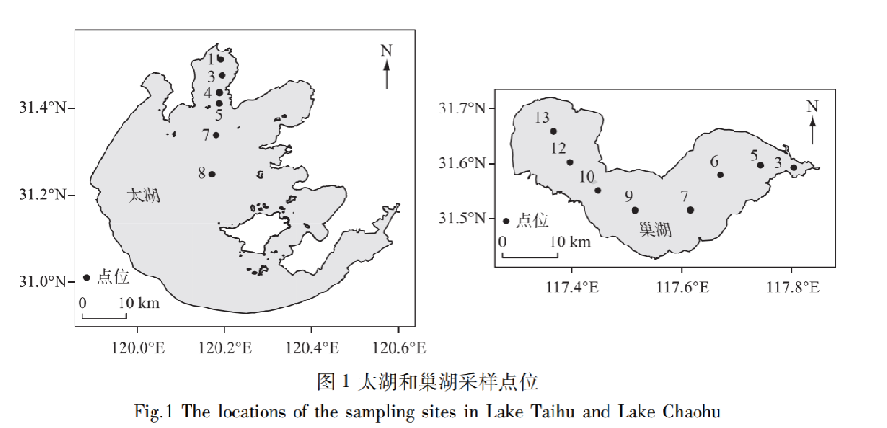 太湖和巢湖中微囊藻(Microcystis)與長孢藻(Dolichospermum)的長時序變化及其驅(qū)動因子