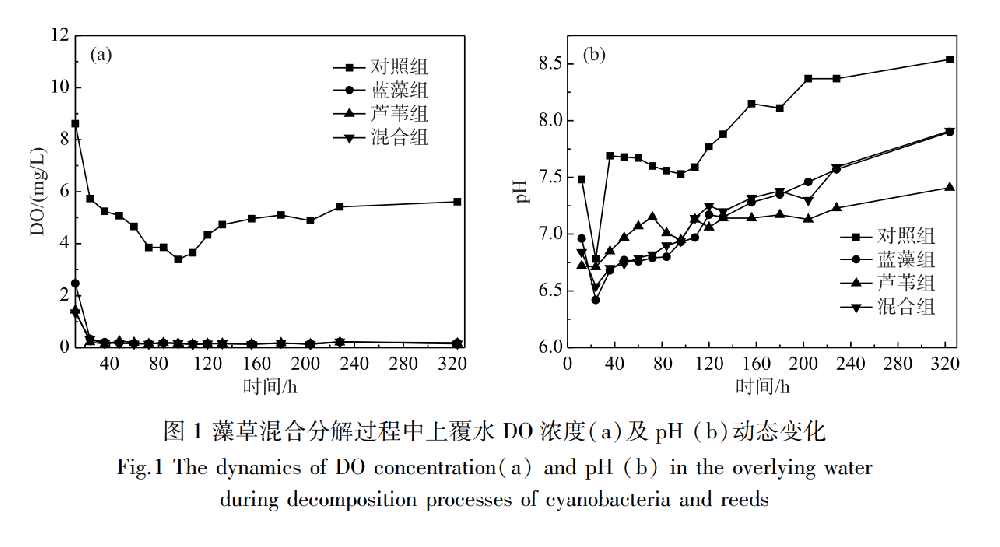 富營養(yǎng)化湖泊藍(lán)藻-蘆葦碎屑堆積分解過程及其潛在的共代謝效應(yīng)