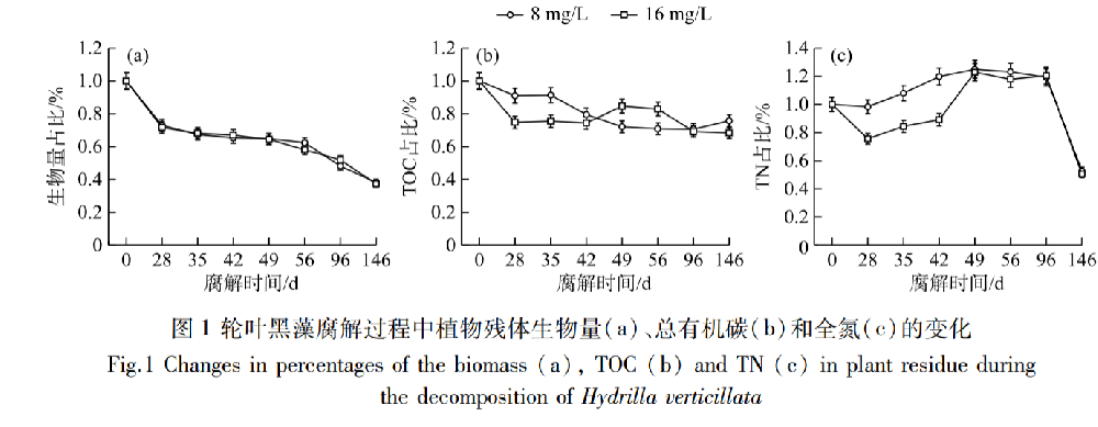 兩種氮濃度對輪葉黑藻(Hydrilla verticillata)腐解過程營養(yǎng)鹽釋放及附著生物膜內(nèi)氮循環(huán)基因豐度的影響