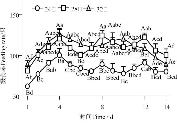 環(huán)境因素對盾形陀螺珊瑚攝食及共生藻光合生理的影響