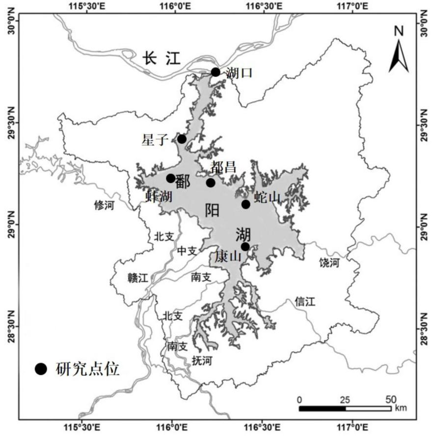 大型通江湖泊藻類增殖驅(qū)動要素時空分異特征