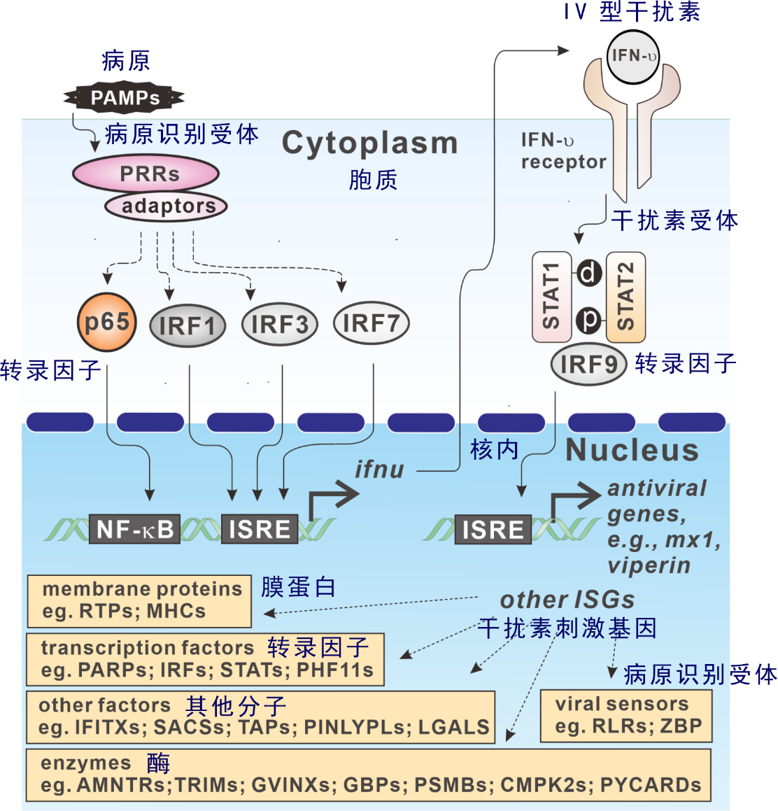 氣候變化導(dǎo)致湖泊快速變暖、熱浪加劇