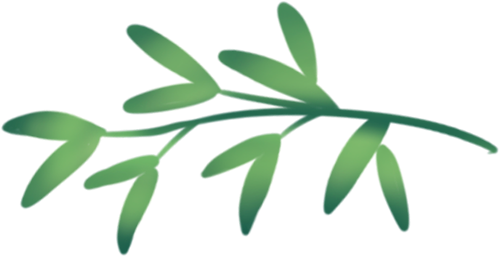 藻資訊丨長(zhǎng)江流域三種骨條藻的形態(tài)比較及分子標(biāo)記篩選